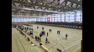 SwissArchery Indoor Championships 2024 - 23.03.2024