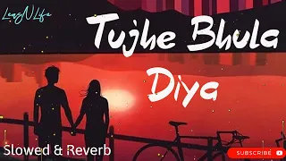 Tujhe Bhula Diya - Mohit Chauhan | Slowed + Reverb | Lofi Mix | Anjaana Anjaani Lofi | Amazing Song