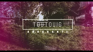 FUTURE FAVORITES 🎼 | toutouig (2012) by ADRAGANTE  |/ harp instrumental