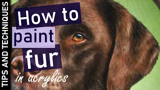 Tips for painting fur in acrylics | Chocolate Labrador painting