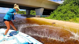 Cast Netting LIVE Bait Fish to Catch More Fish! Florida Inshore Fishing