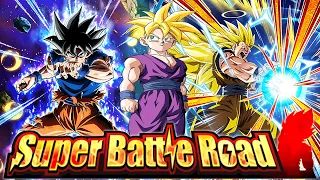 THE BEST KAMEHAMEHA TEAM VS THE GOKUS FAMILY SBR - DOKKAN BATTLE -