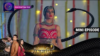 Ishq Ki Dastaan Naagmani | 20th March Episode 241 | Mini Episod | Dangal TV