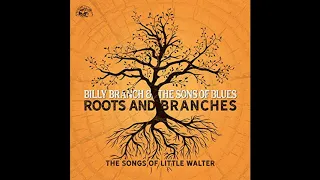 Billy Branch  - Nobody but you