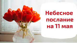 Небесное послание на 11 мая. Начинания.