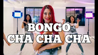 BONGO CHA CHA CHA by Goodboys | SALSATION® Choreography by SMT Julia Trotskaya