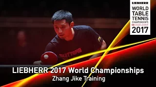 2017 World Championships | Zhang Jike Training