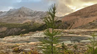 Farnham Glacier