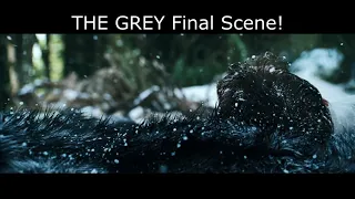 NOBODY NOTICED! End Scene of The Grey film - Kimsenin fark etmediği filmin son sahnesi