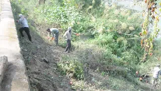 Ganga River Cleaning Work Near Haridwar #Ganga_River_Cleaning_Work