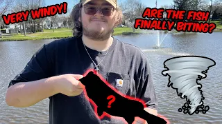 BASS Fisherman Try to Fish in The WIND!!! (WORST Fishing Day EVER!!!)