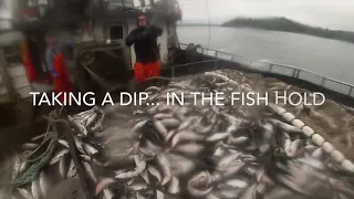 Seining Southeast Alaska