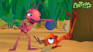 Fast Food | Antiks Cartoons | Learn ABC 123 | Fun Cartoons | Moonbug Kids