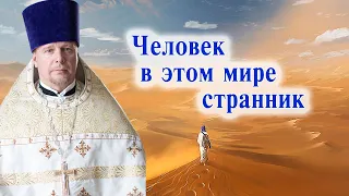 Человек в этом мире странник. Проповедь священника Димитрия Лушникова