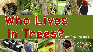 Who Lives in Trees?