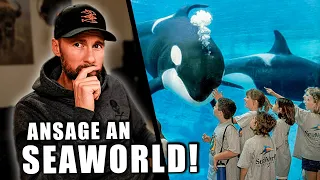 ANSAGE an SEAWORLD! - Warum Orcas in Gefangenschaft töten... | Robert Marc Lehmann