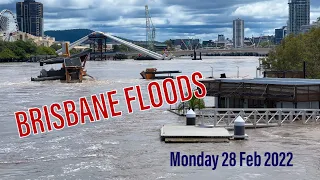 Brisbane Floods 2022 - River, City, Kangaroo Pt, Botanic Gardens, Mowbray Pk, New Farm, Monday 28Feb