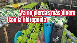 consejos para no perder plata con la hidroponia 💸💸💸💸💸😞