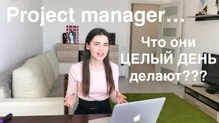 PM2. Рабочий день проджект менеджера // Project Manager для новичков