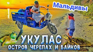 Мальдивы. Остров Укулас. Еда на Мальдивах