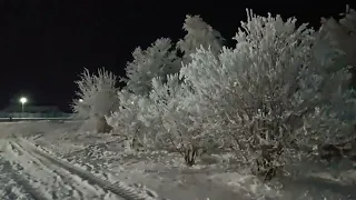 Будни Олега. Красота во дворе у школы. Лыжники на тренировке.