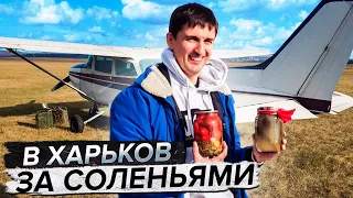 Радости малой авиации / Одним днем в Харьков и обратно / полет Киев-Харьков-Киев