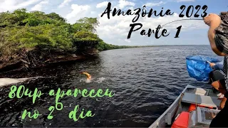 Amazônia 2023 Rio Negro - A melhor pescaria da minha vida  - OPERAÇÃO DELTA AMAZON - PARTE 1