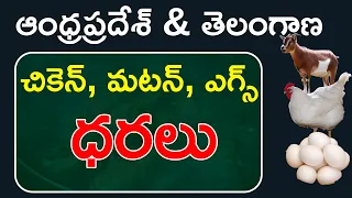 AP & TS Chicken, Mutton, Eggs rate in market today | Today Chicken Price In Telugu States