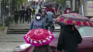 В Сыктывкаре заработал чат-бот для борьбы с запрещёнными веществами