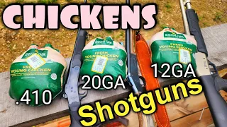 Shotgun Slugs vs Chickens .410 20 Gauge 12 Gauge