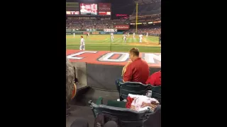 Cat on the field at angel game