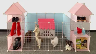 How To Make House & Play Area For Pomeranian Puppies & Kitten At Home Ideas - DIY Dog Cat - MR PET