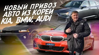 ПРИВОЗ АВТО ИЗ КОРЕИ! KIA K5, BMW 3, AUDI A6. АВТО В ОТЛИЧНОМ СОСТОЯНИИ! AUTOFACT!