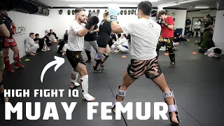 Sparring High Fight IQ Muay Femur Style Fighter