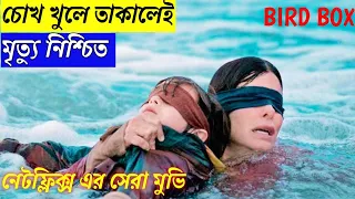 Bird Box (2018) Movie Explained in Bangla | Netflix Movie | Bird Box Cinemar Golpo | Explain City |