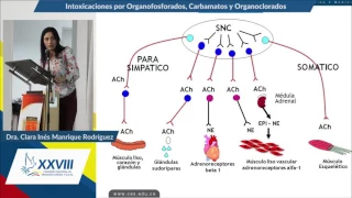 Intoxicaciones por Organofosforados, Carbamatos y Organoclorados - Doctora Clara Inés Manrique R.