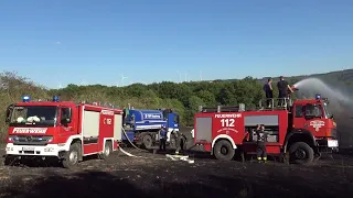 Großer Waldbrand in Wiltingen - 180 Feuerwehrleute im Einsatz