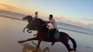 The fastest horses in the world