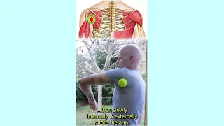How to release Rotator Cuff Muscles Trigger Points