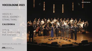 Voces8, Vocal Journey,  String Thing | Caledonia