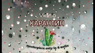 Тайная жизнь кактуса на карантине / короче говоря, карантин /