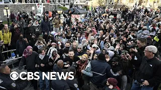 Inside protests over Gaza war that have swept across U.S. college campuses