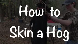 How to Skin a Hog the Easy Way