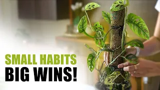 Micro Habits That Improve Your Life