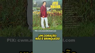 José Ribeiro  -  Um Coração Não É Brinquedo #joseribeiro #músicasantigas #brega