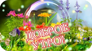 Доброго утра!🌸 Прекрасного дня!🌸 Любви, здоровья и добра! 🌸Good morning🌸