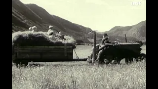 Making hay in Norway (1952)