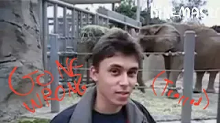 If the video "Me at the zoo" was made in 2020