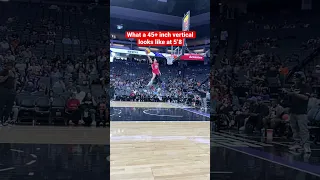 What a 45+ inch vertical looks like at 5’8 #viral #dunk #nba #basketball