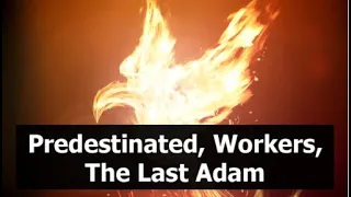 Predestinated, Workers, The Last Adam